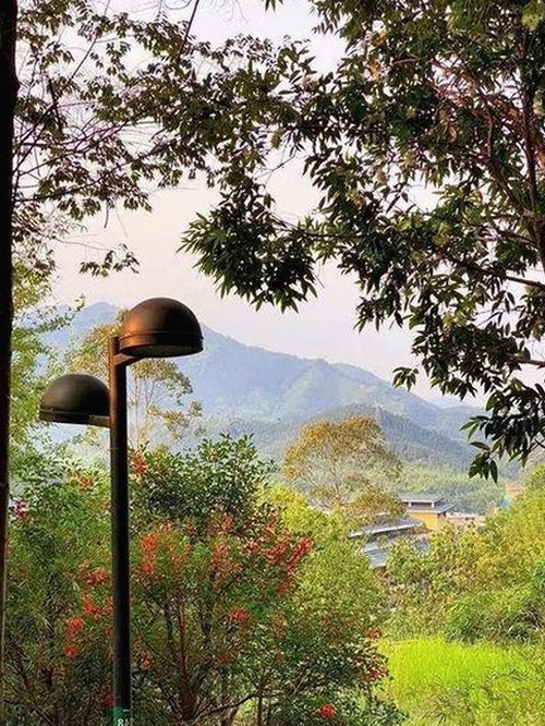 从绯闻到真相：陈飞宇肖战的娱乐圈友谊与吃瓜现象