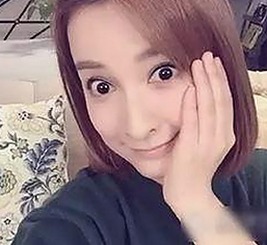 娱乐圈爆料与明星道歉现象全解析